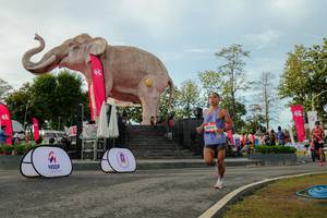 BIB: 
                            <button type="button" onclick="openModal(26529128)" class="btn btn-primary btn-sm float-right btn-popup" data-toggle="modal" data-target=".modal-high-quality">
                        <i class="fas fa-shopping-cart"></i> Add to Cart
                    </button>
                                            <button type="button" onclick="isThisMe(26529128, true)" class="btn btn-success btn-sm float-right btn-popup btn-isme hidden" data-toggle="tooltip" data-placement="bottom" title="นี่คือรูปของคุณใช่ไหม คลิกที่นี่เพื่อเอาเข้าอัลบั้ม">
                        <i class="fas fa-plus"></i> Add to album
                    </button>
                    <button type="button" onclick="isThisMe(26529128, false)" class="btn btn-warning btn-sm float-right btn-popup btn-isnotme hidden">
                        <i class="fas fa-ban"></i> Remove from album
                    </button>